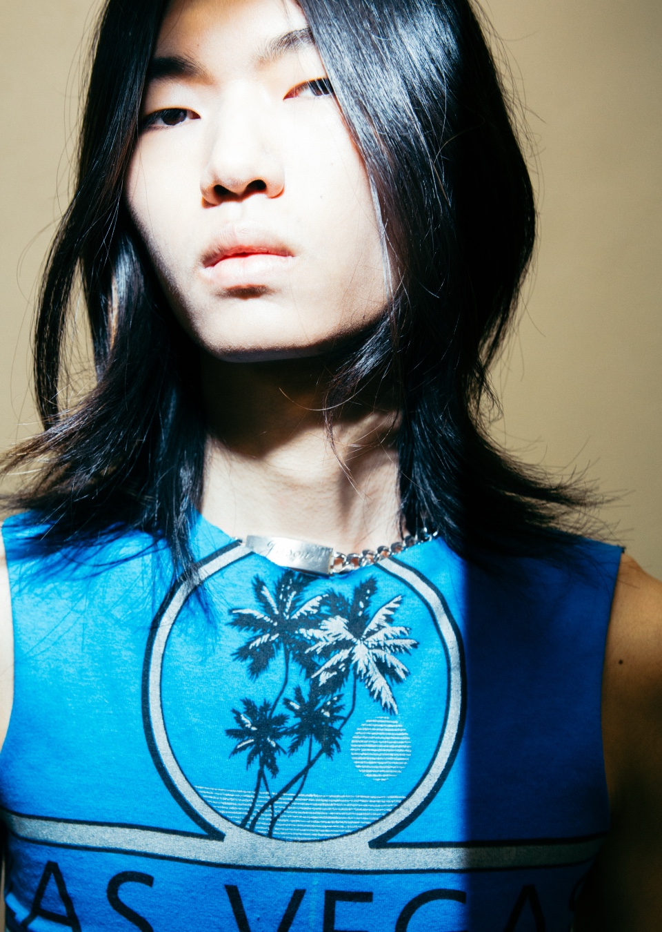 Model Image
