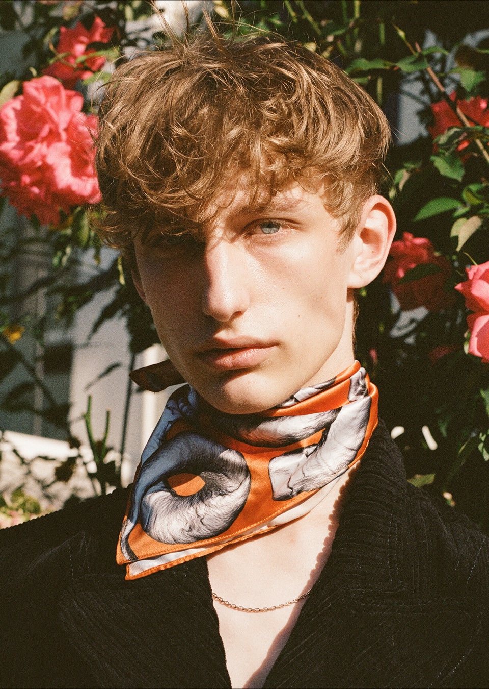 DECLAN BIRTCHET-SHARPE