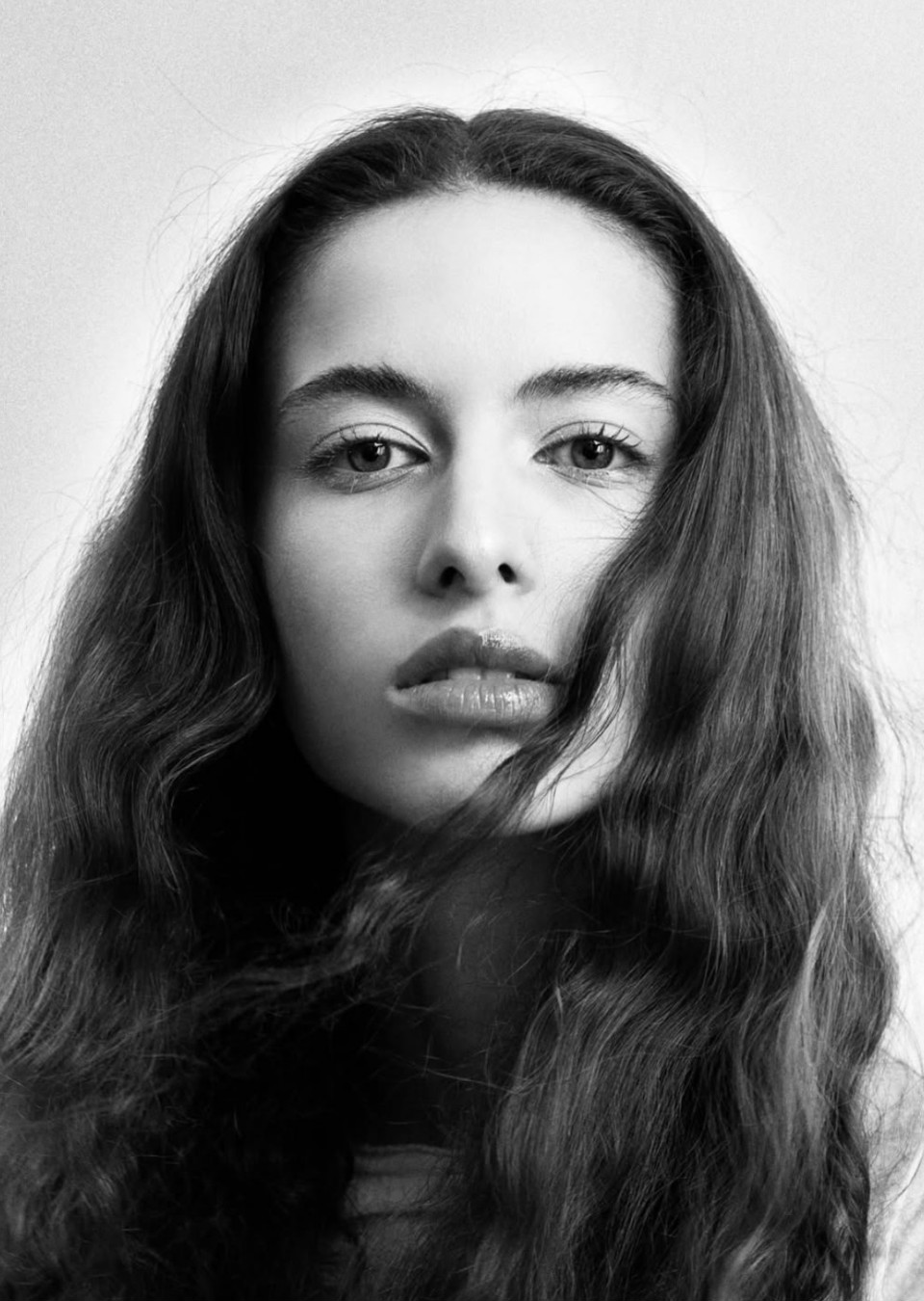 Model Image