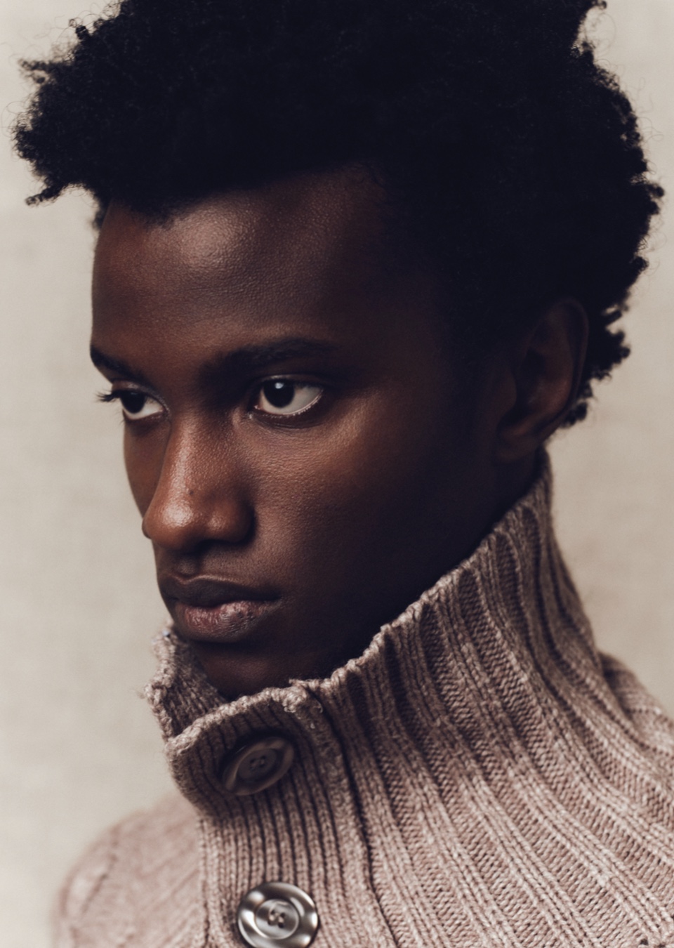 Model Image