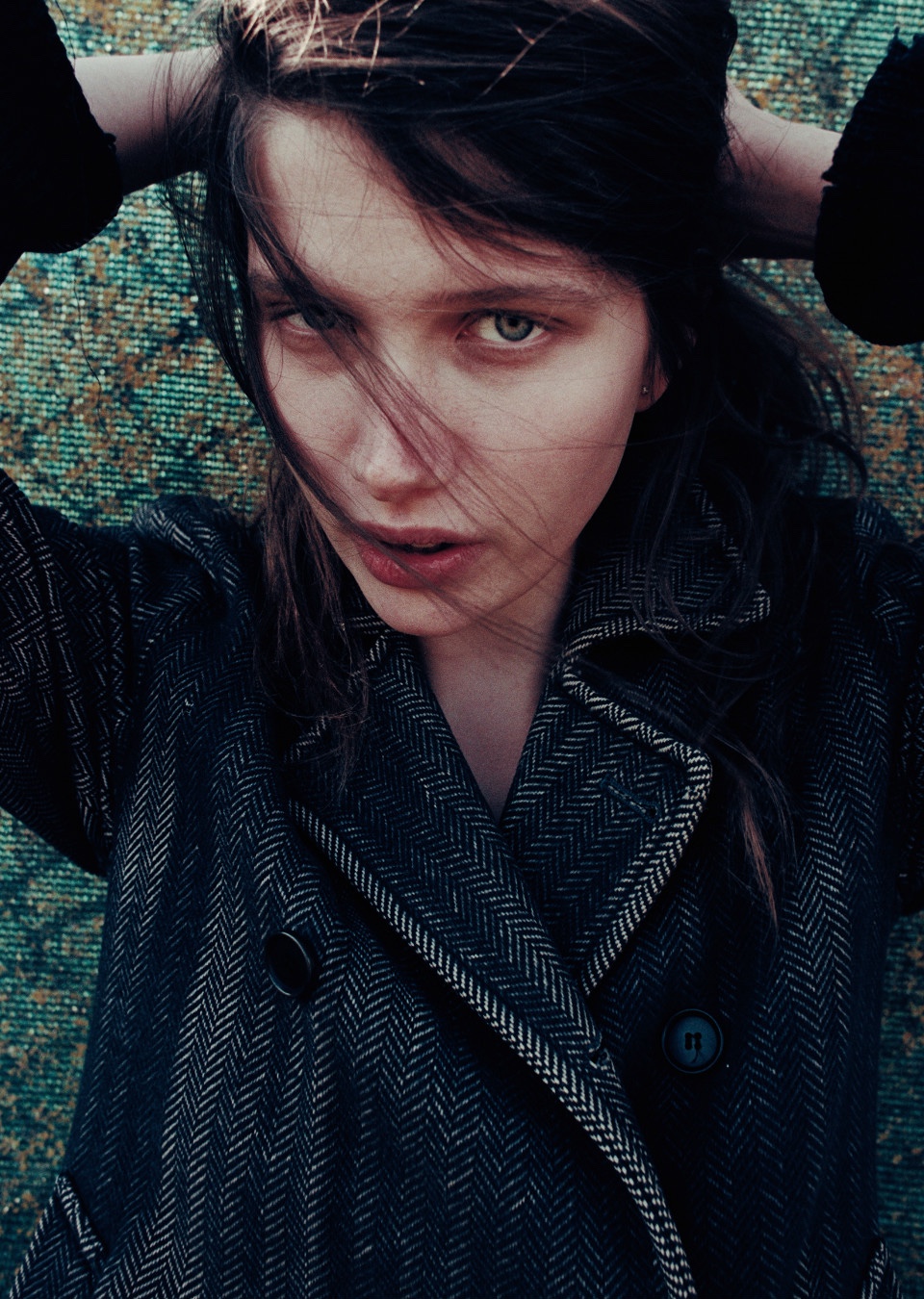 Model Image