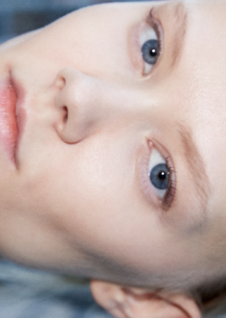 Model Image