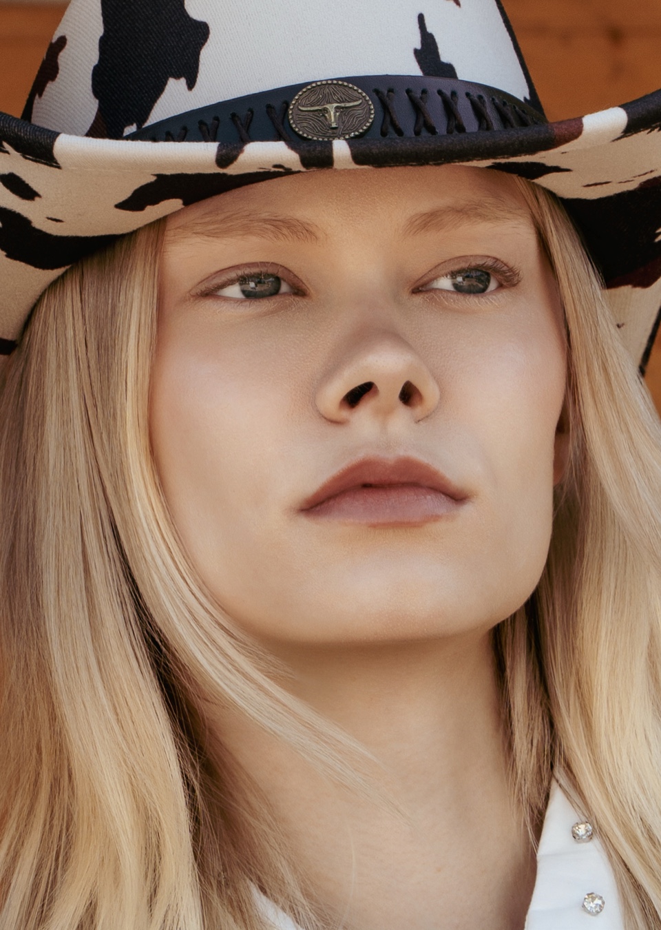 Model Image