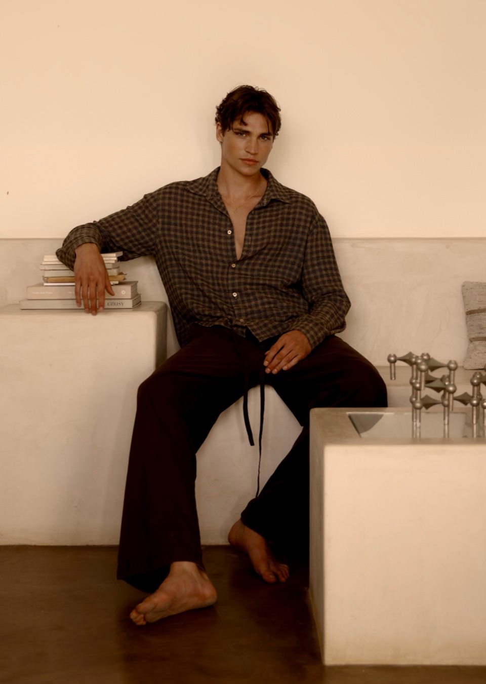 Model Image