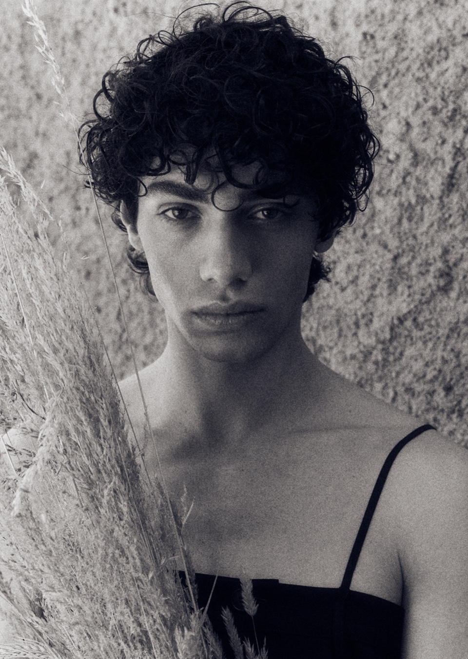 Model Image