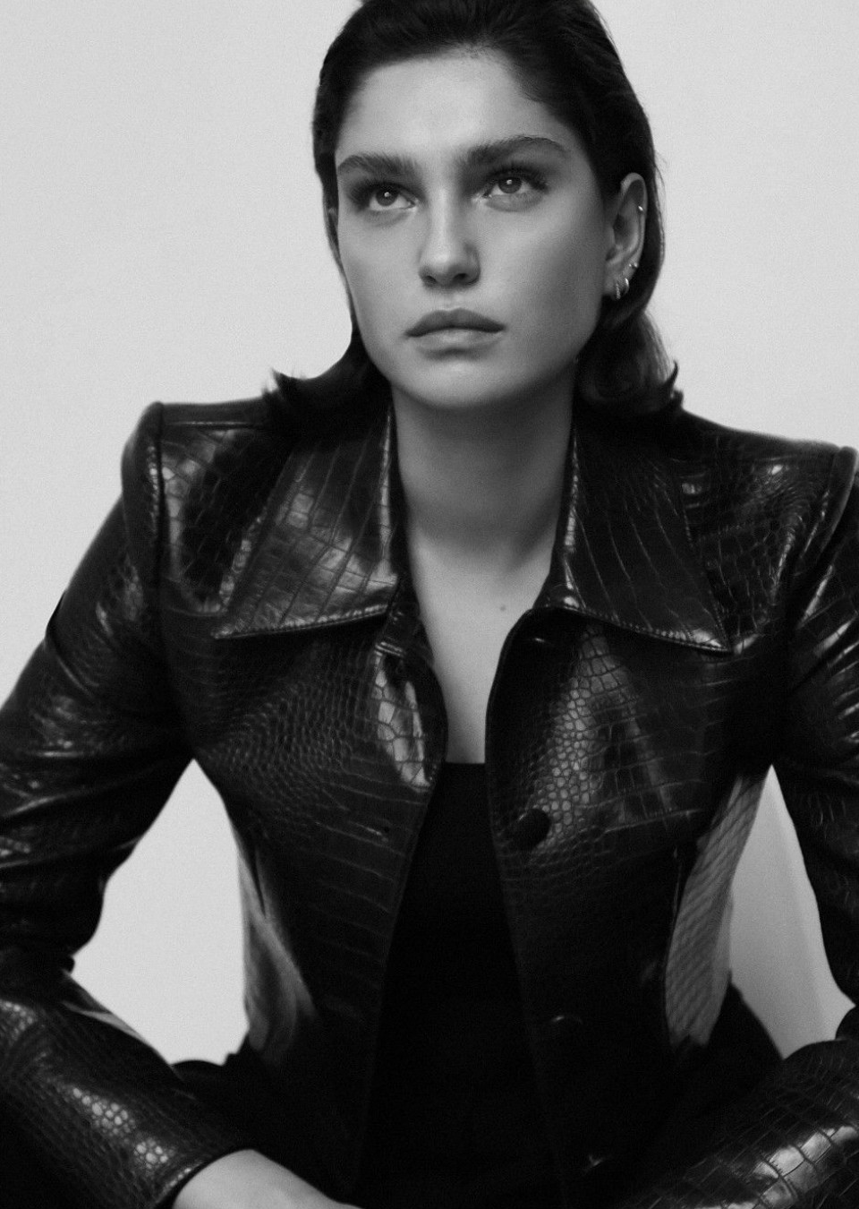 Model Image