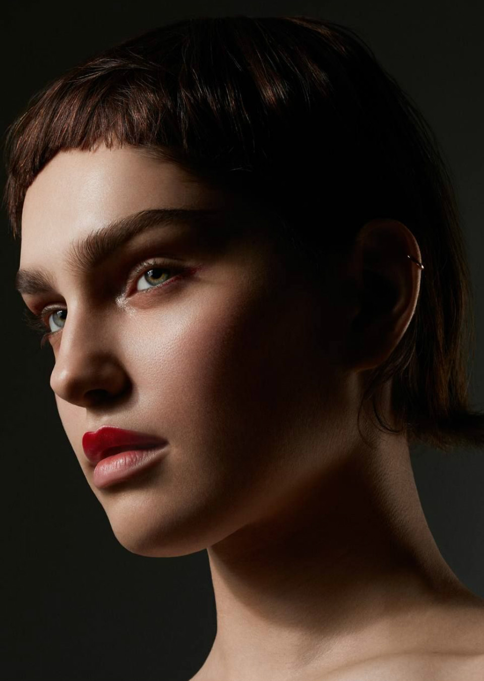 Model Image