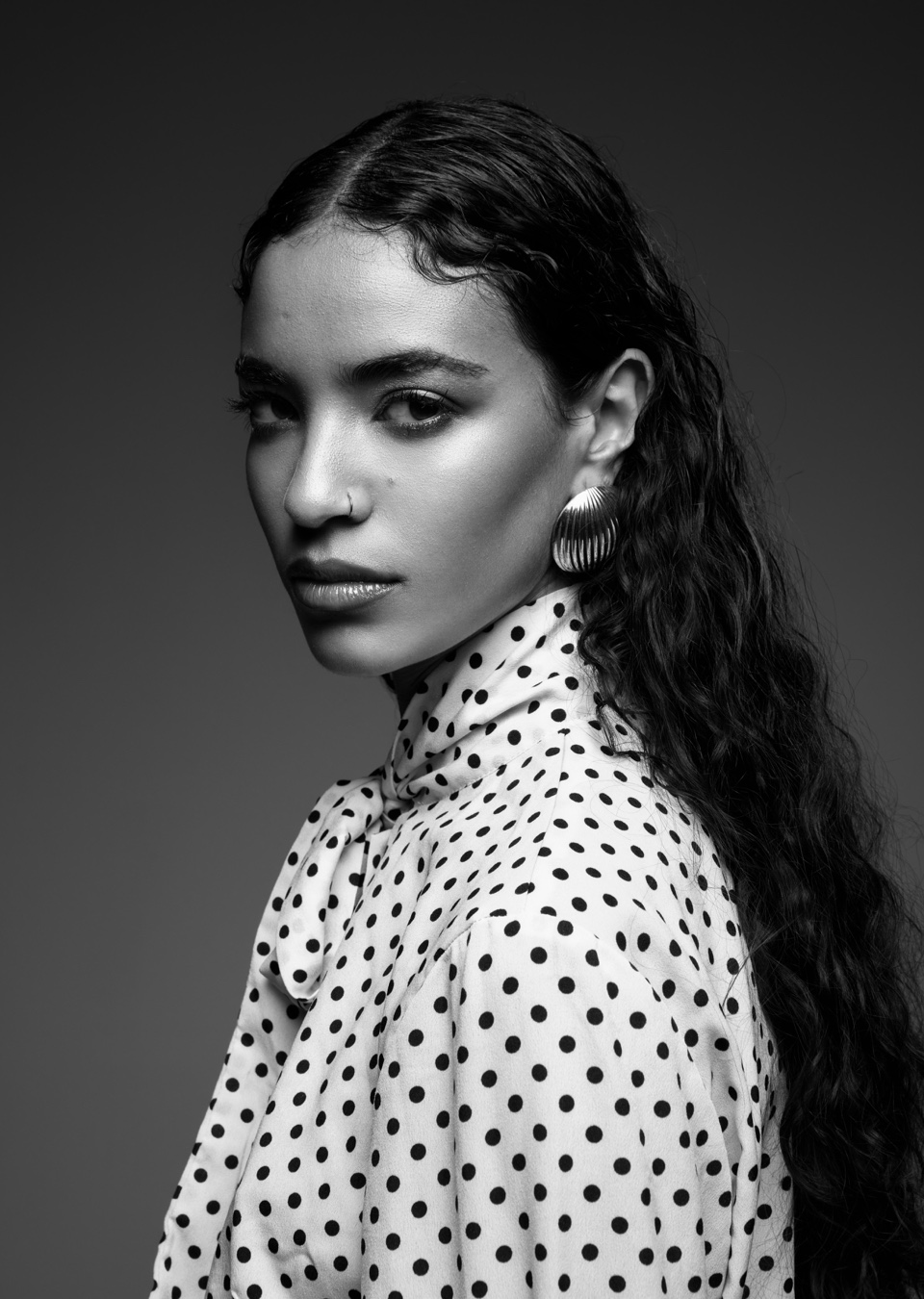 Model Image
