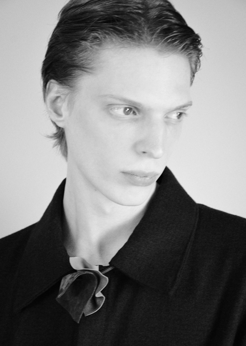 Model Image
