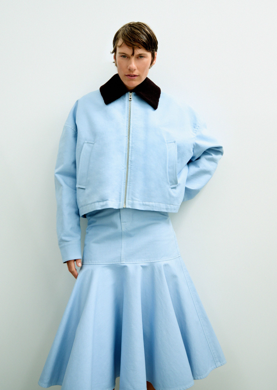 Model Image