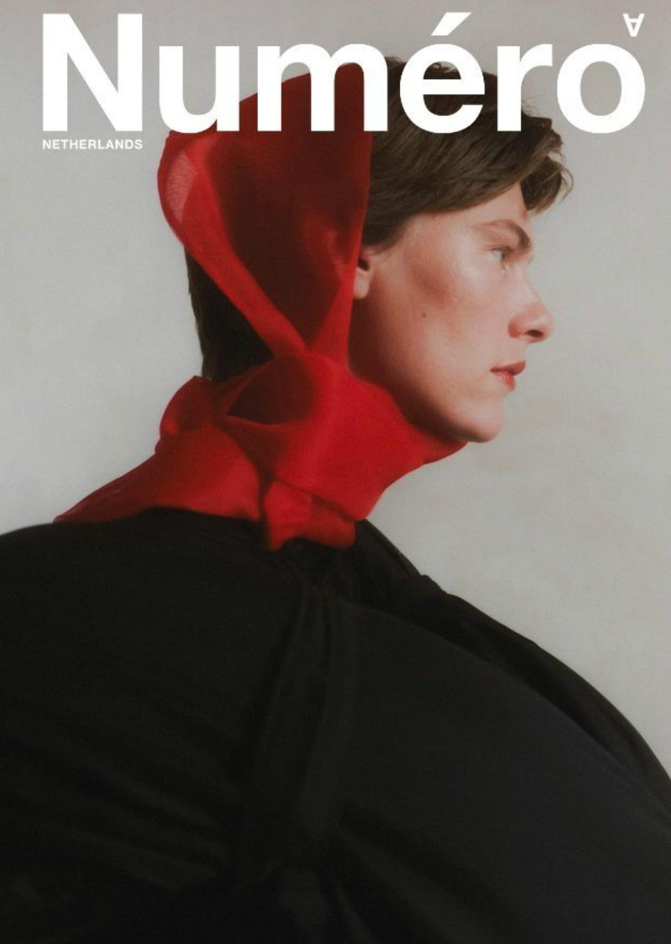 Model Image
