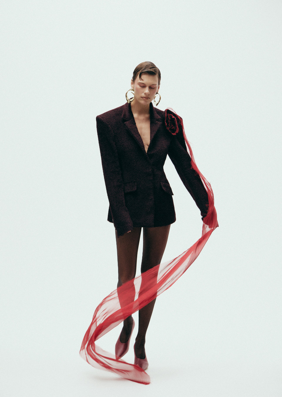 Model Image