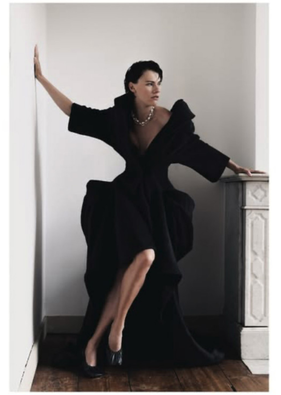 Model Image