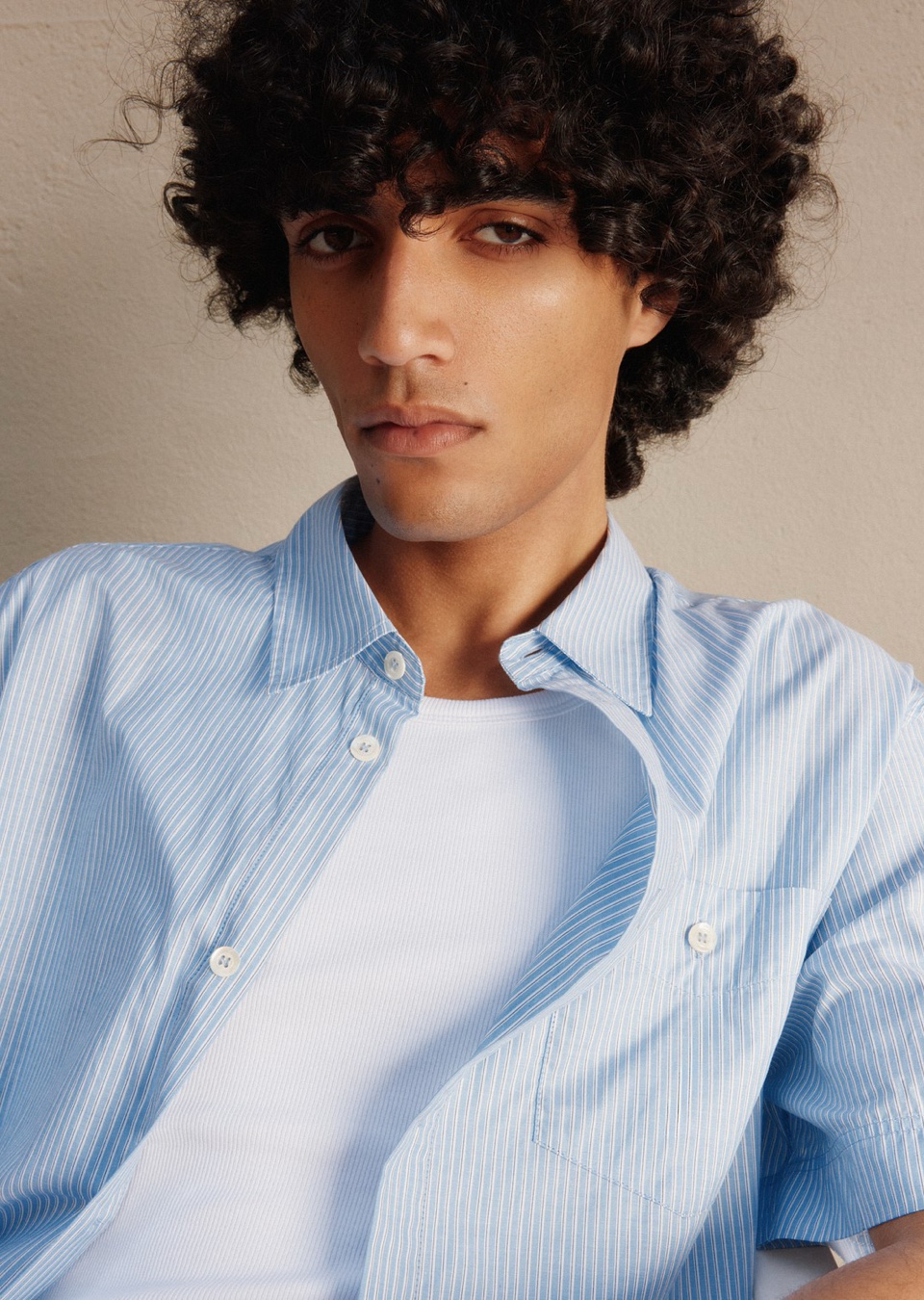 Model Image