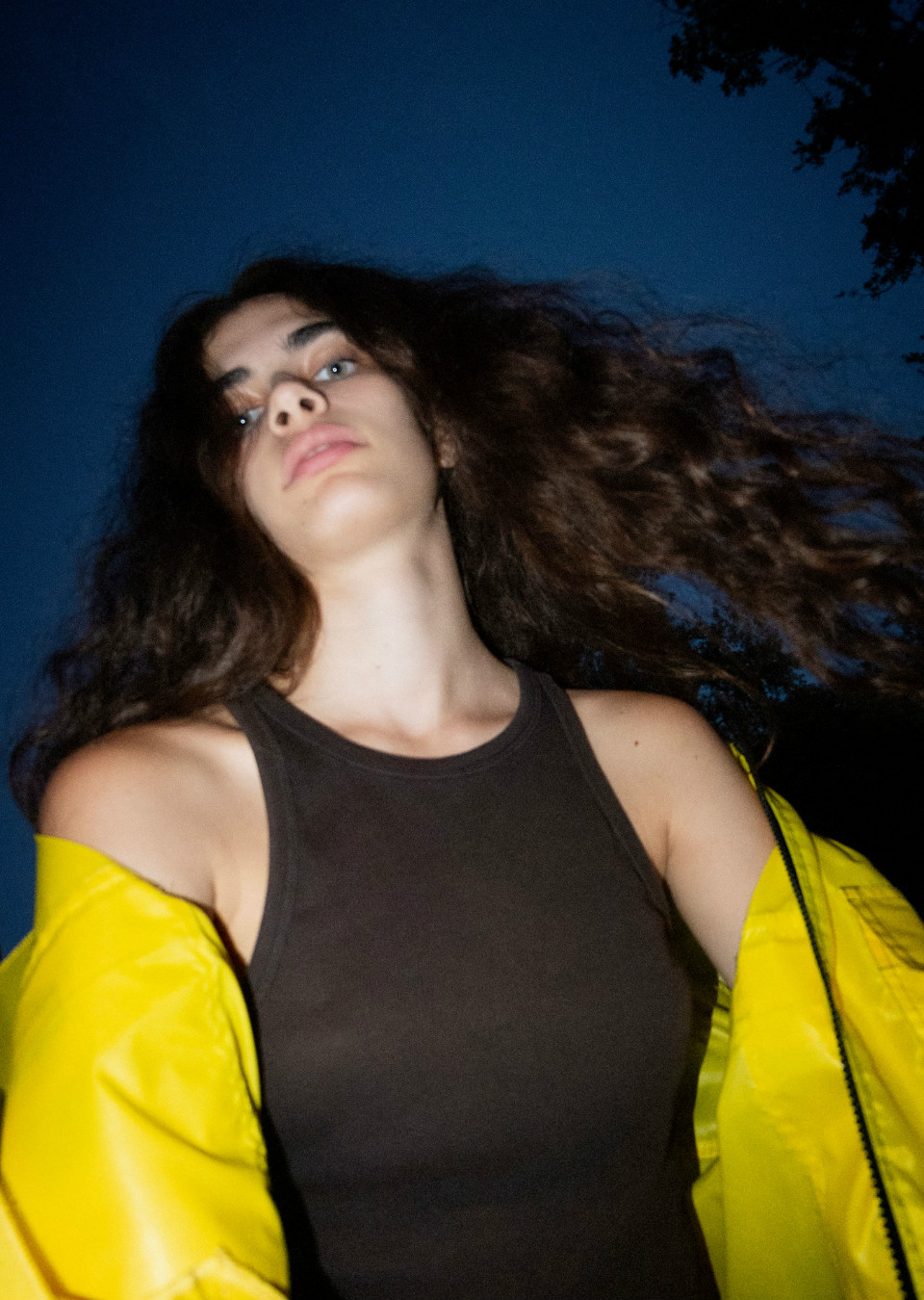 Model Image