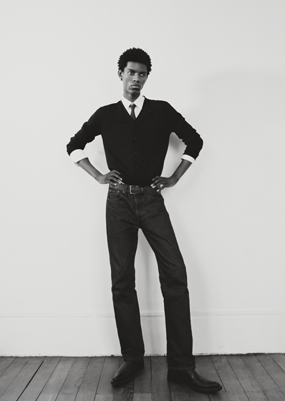 Model Image