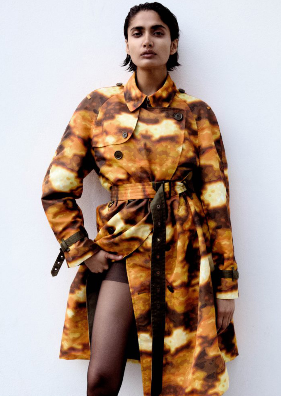 Model Image