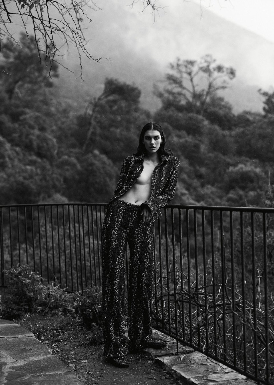 Model Image