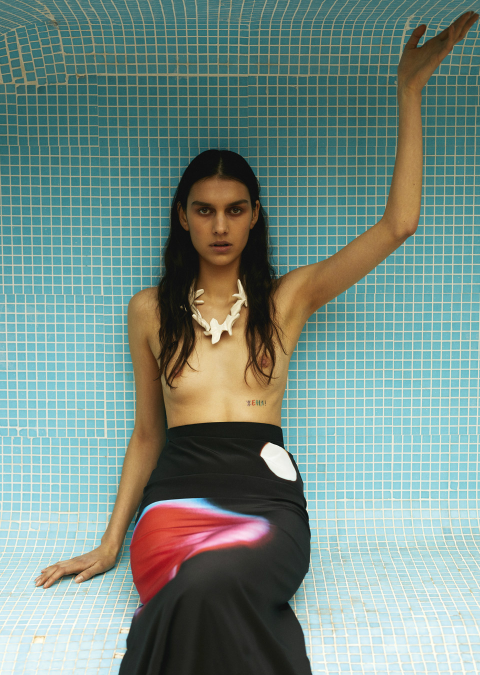 Model Image