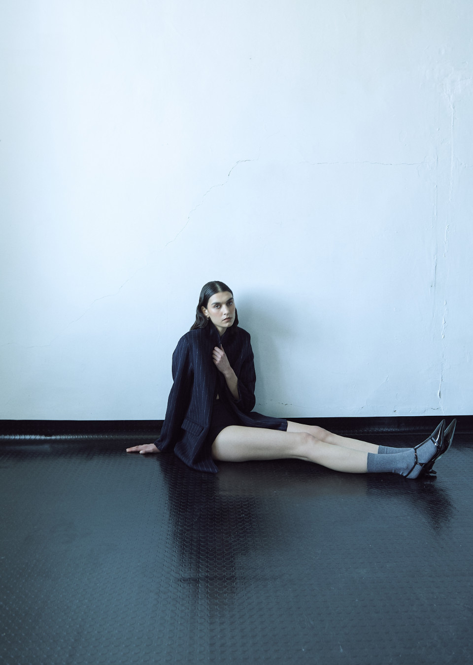 Model Image
