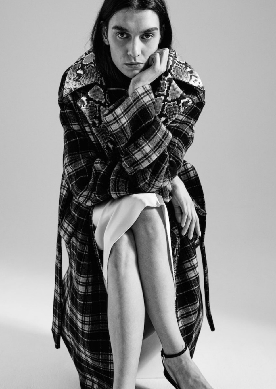 Model Image