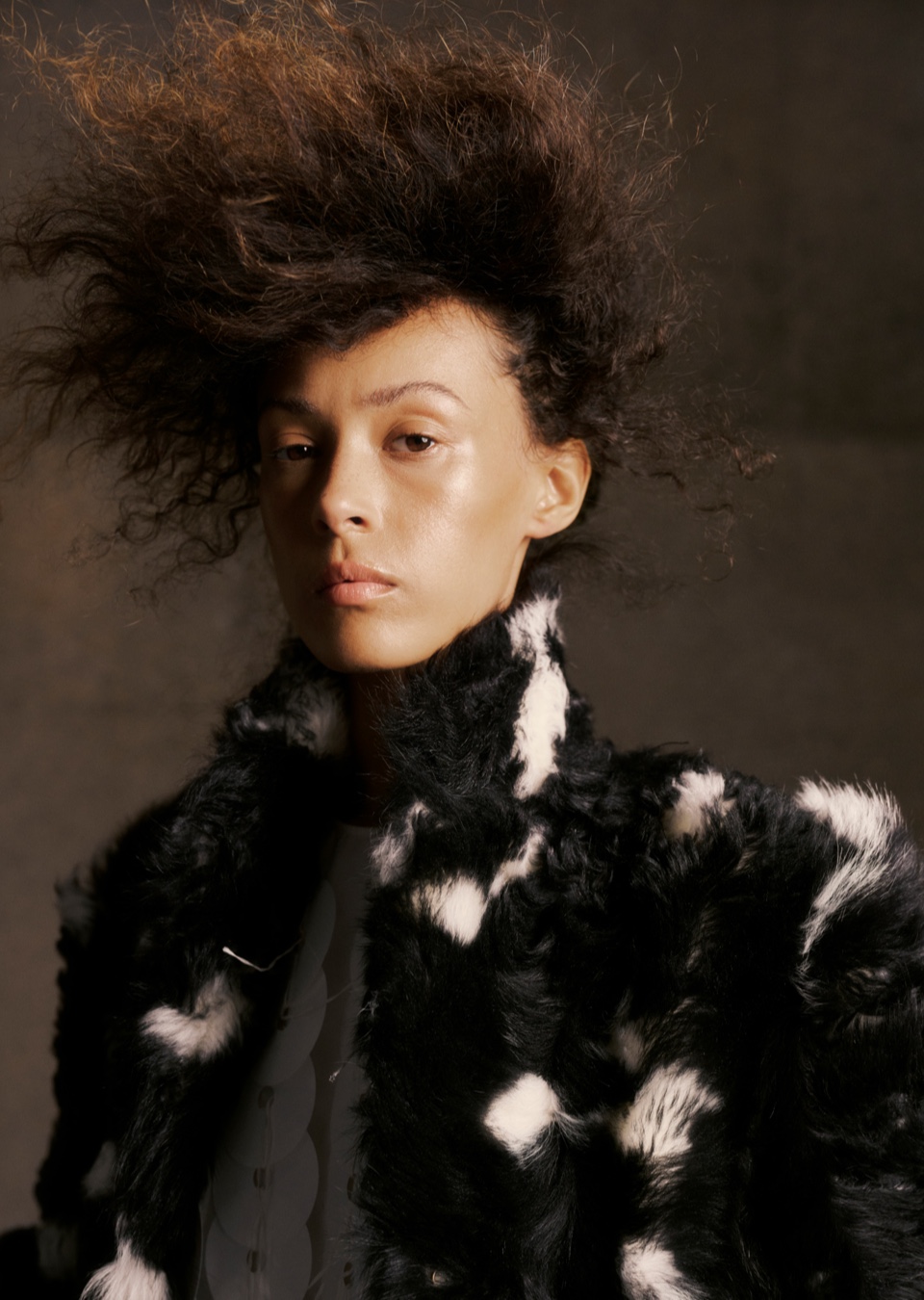 Model Image