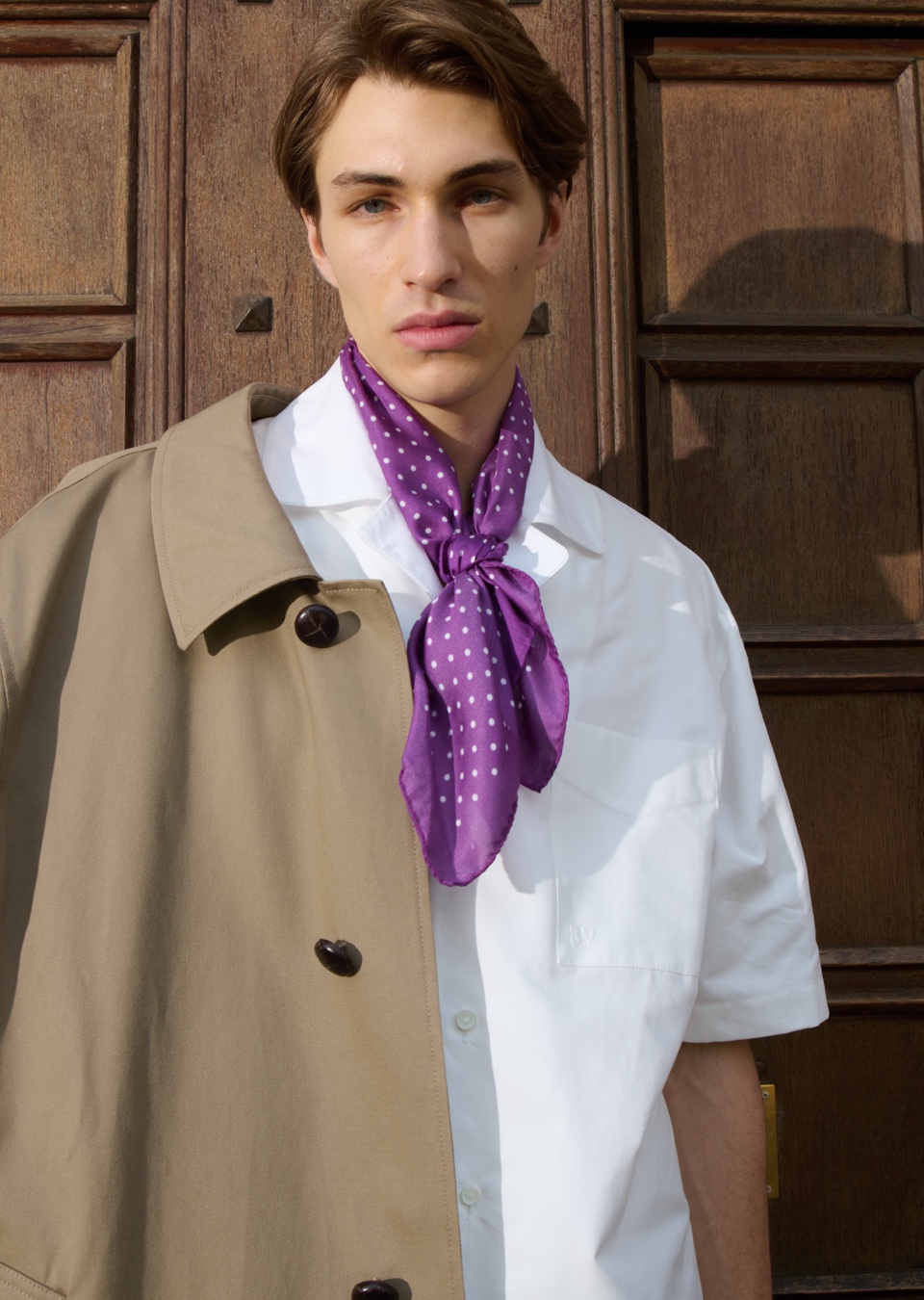Model Image