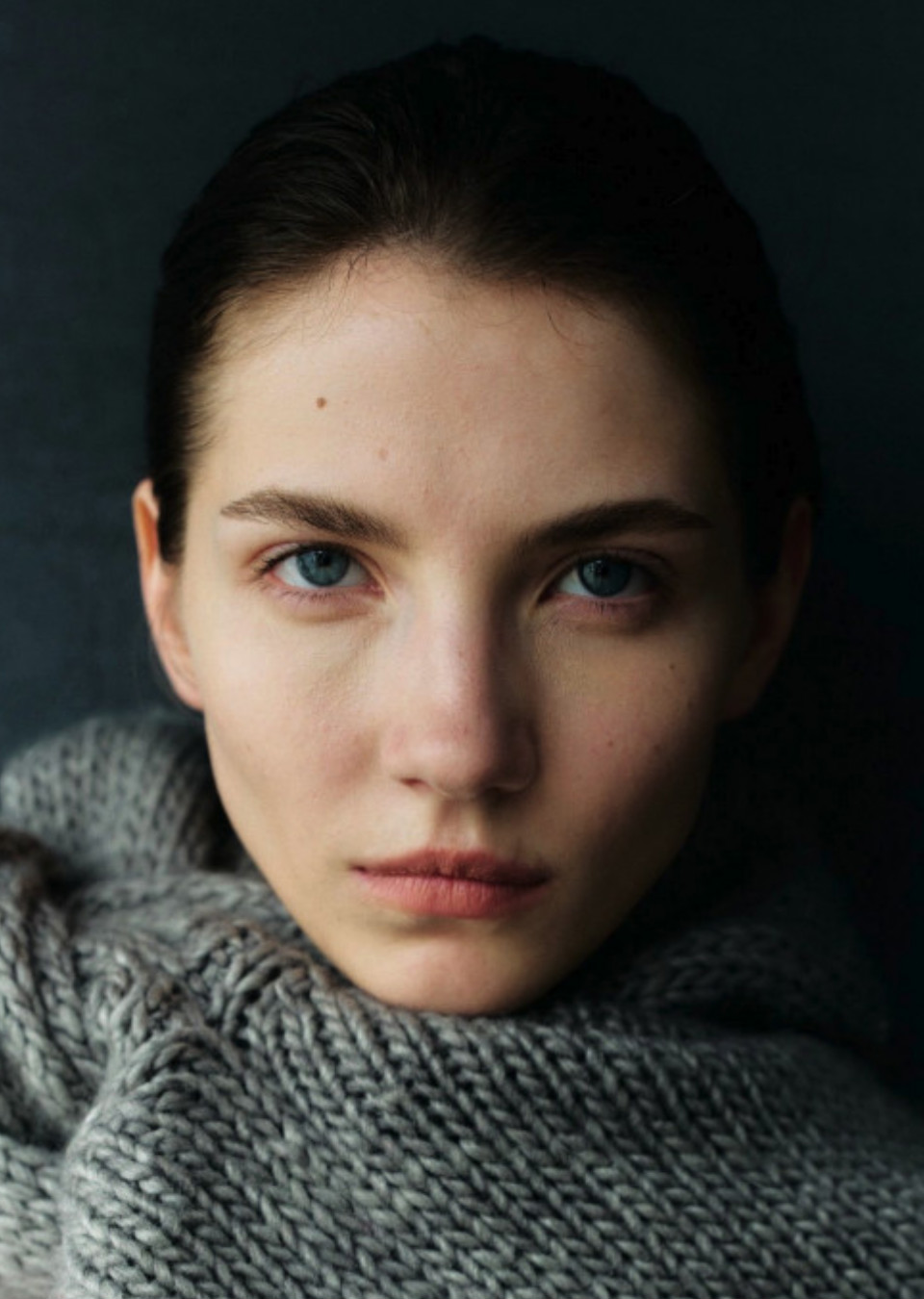 Model Image