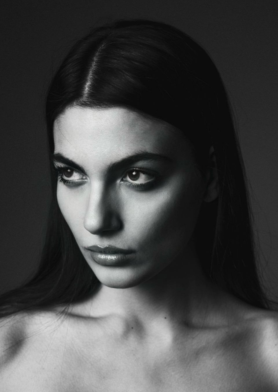 Model Image