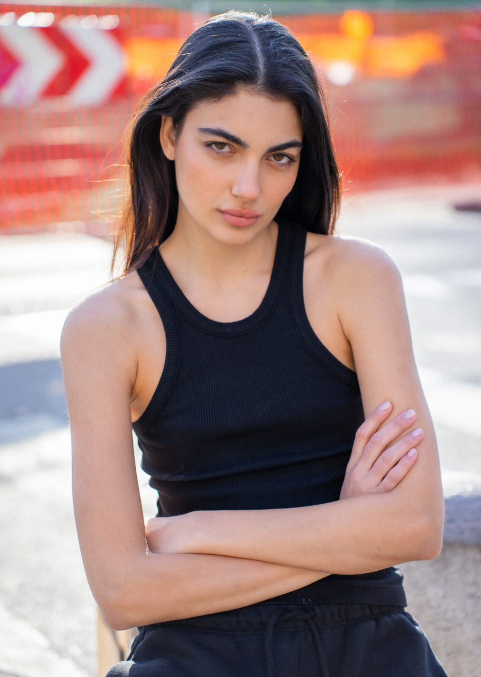 Model Image