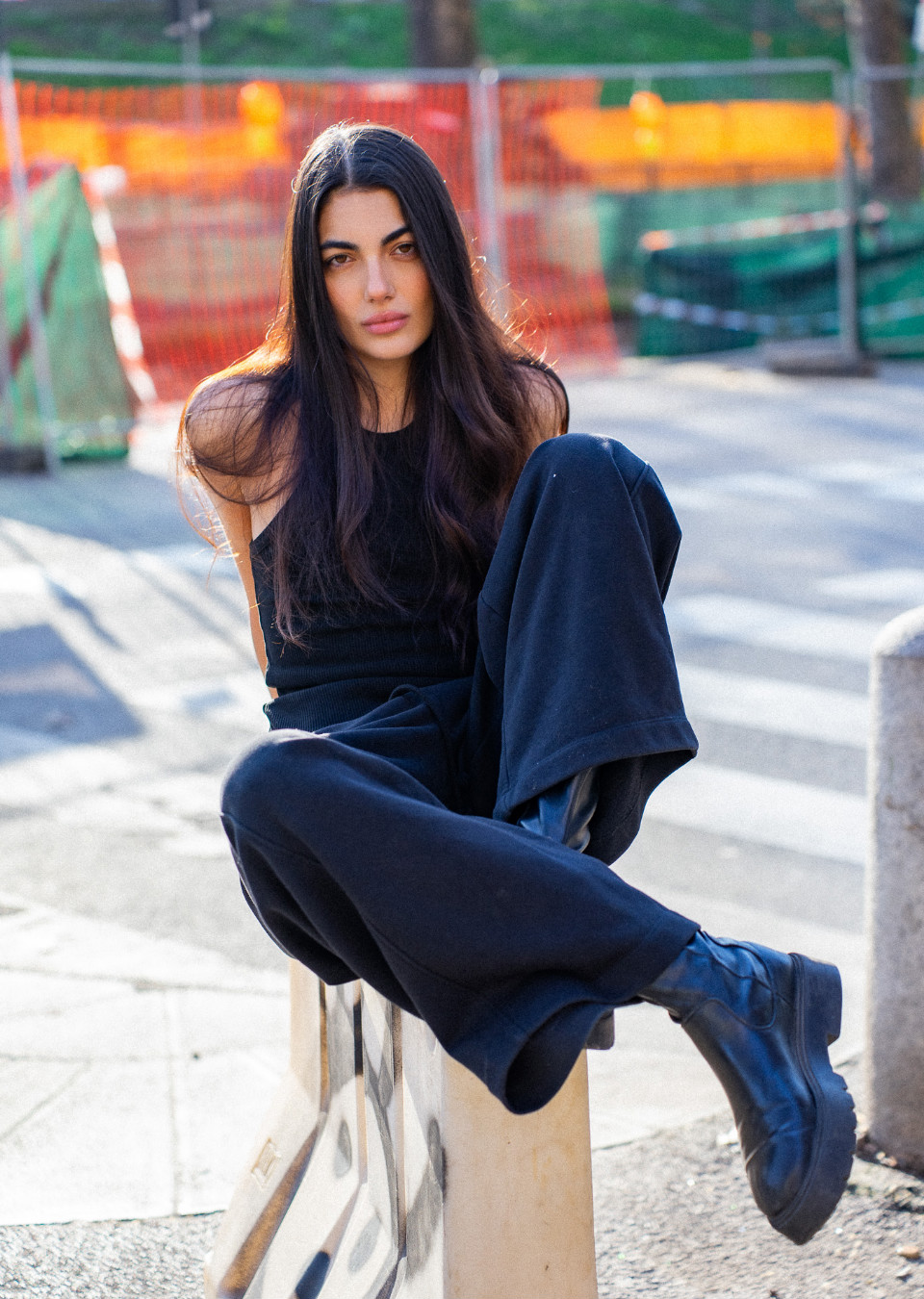 Model Image