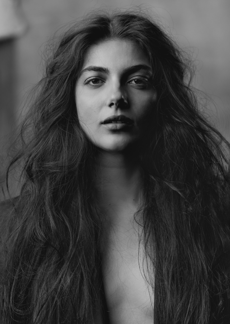 Model Image