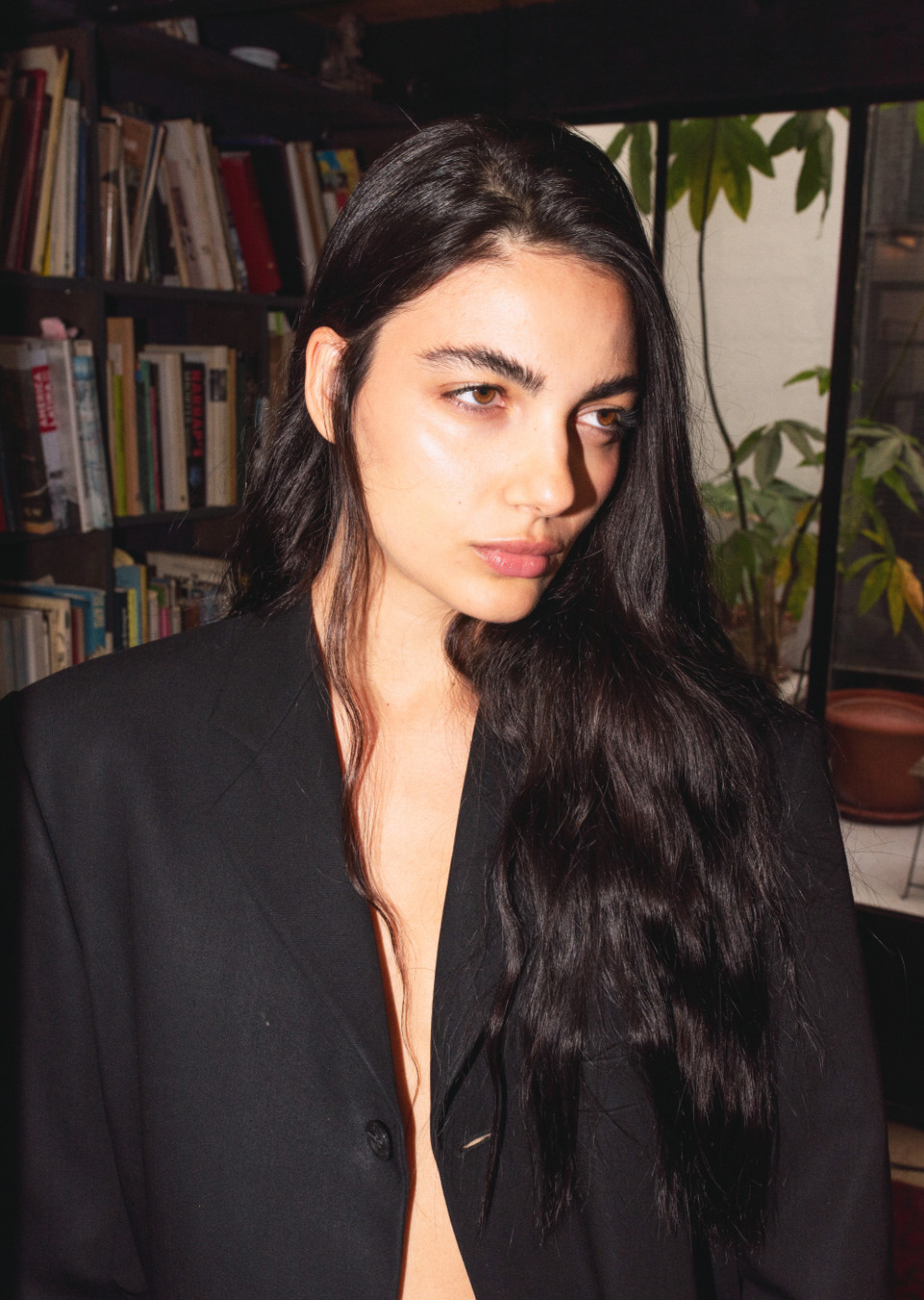 Model Image