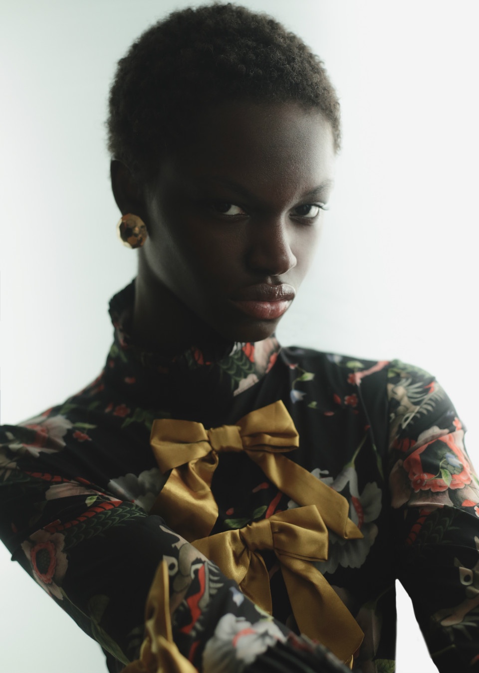 Model Image