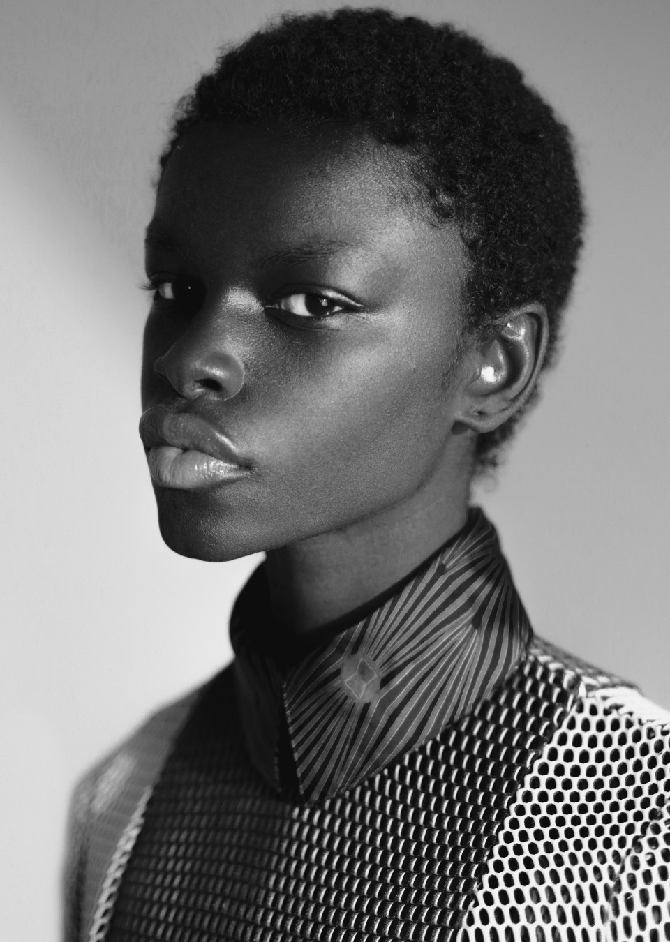 Model Image