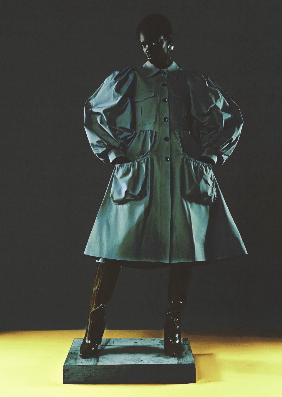 Model Image