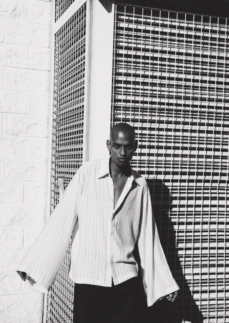 Model Image