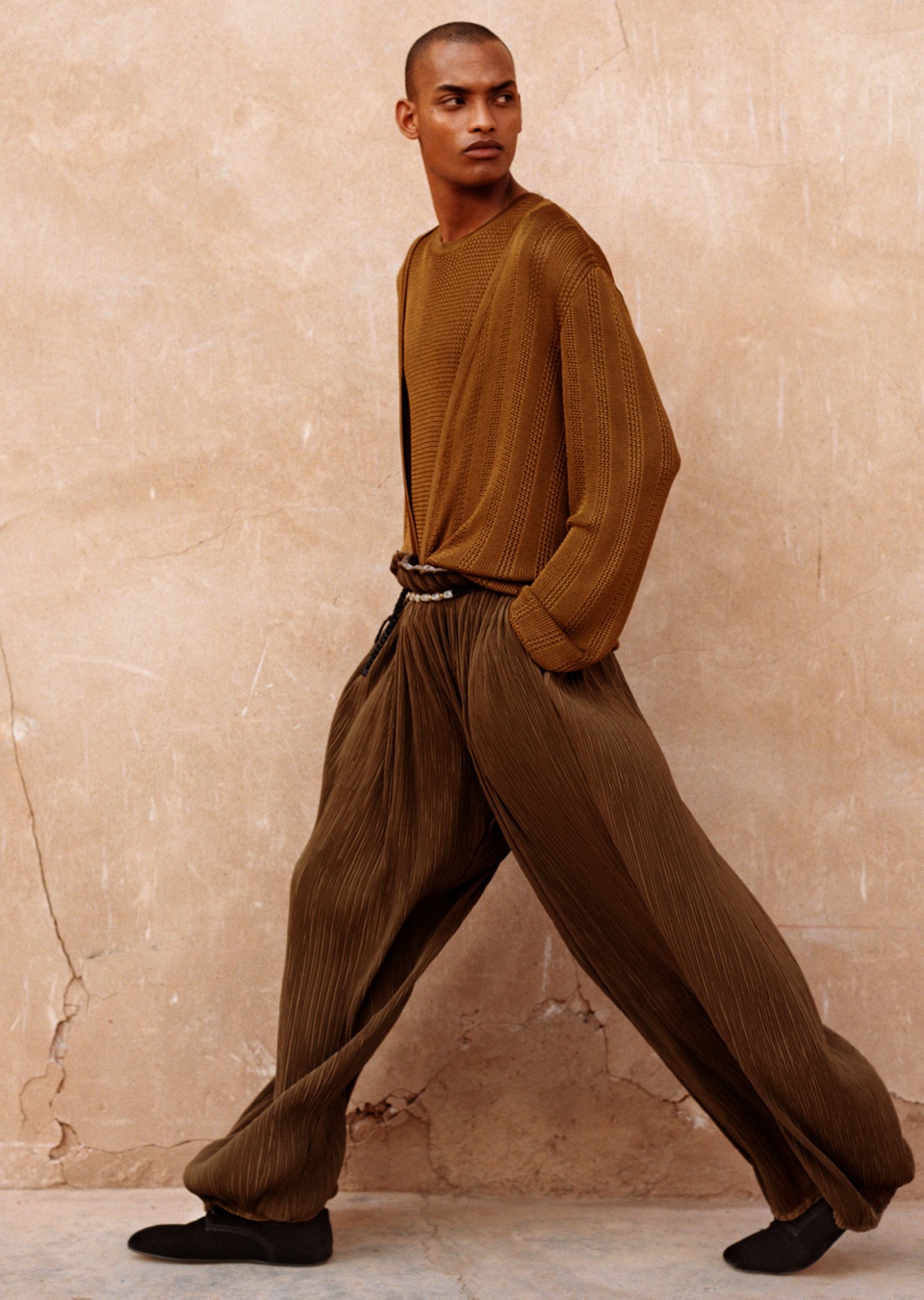 Model Image