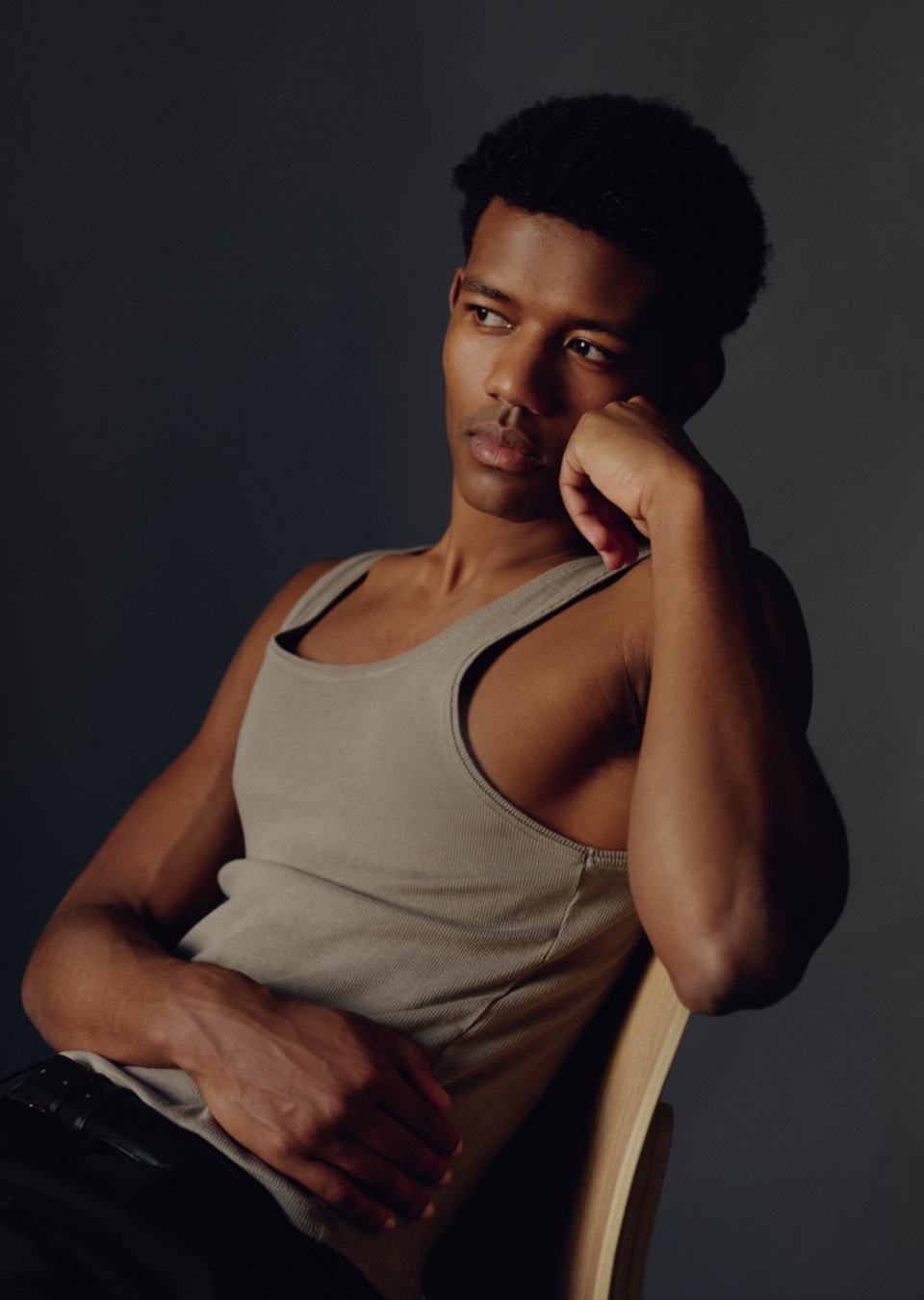 Model Image