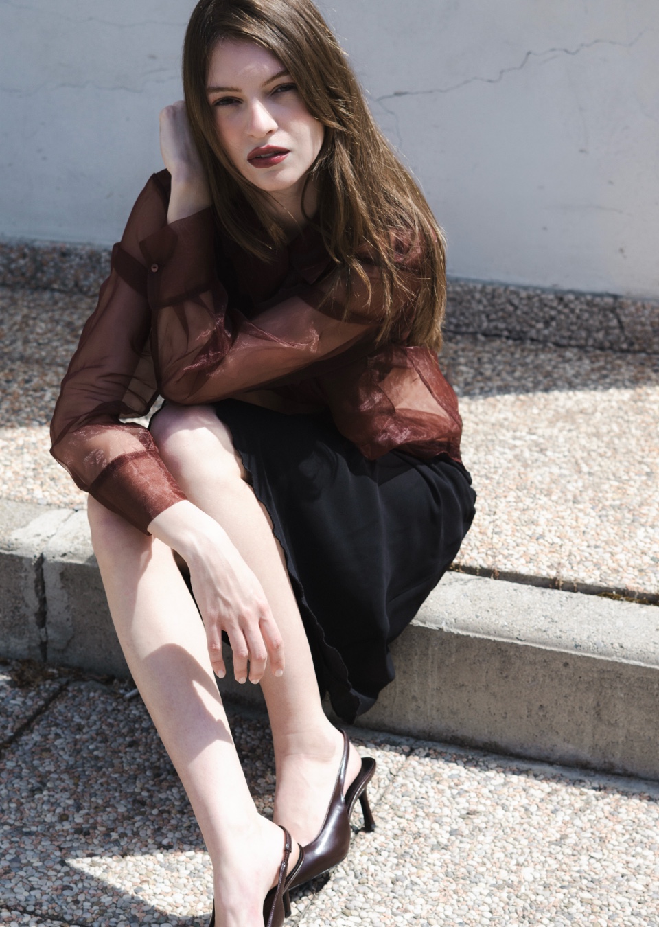 Model Image