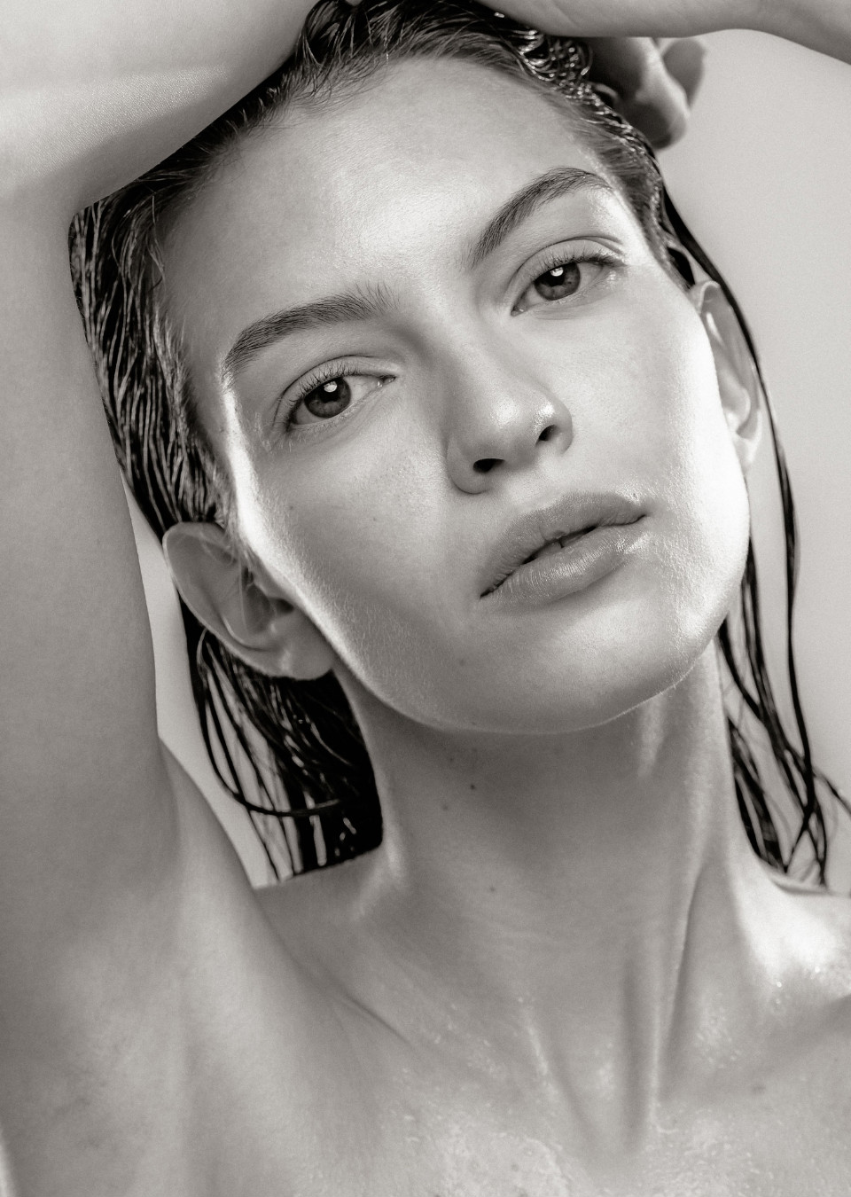 Model Image