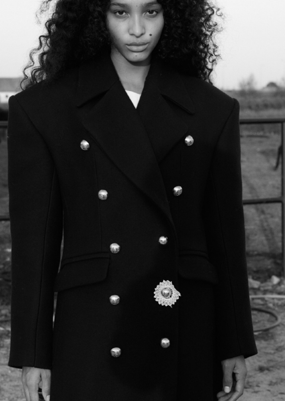 Model Image