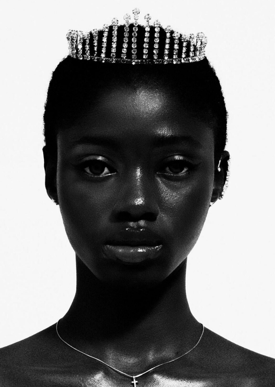 Model Image