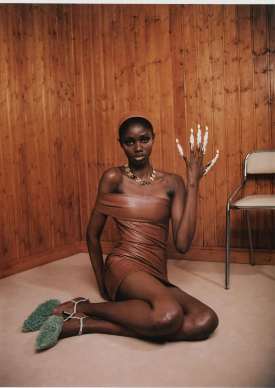 Model Image