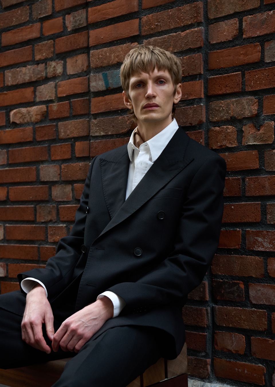 Model Image