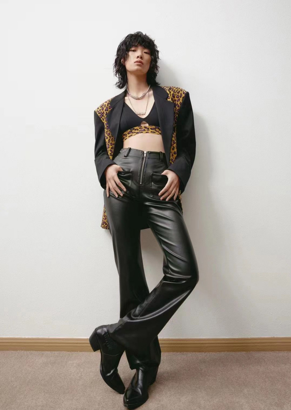 Model Image