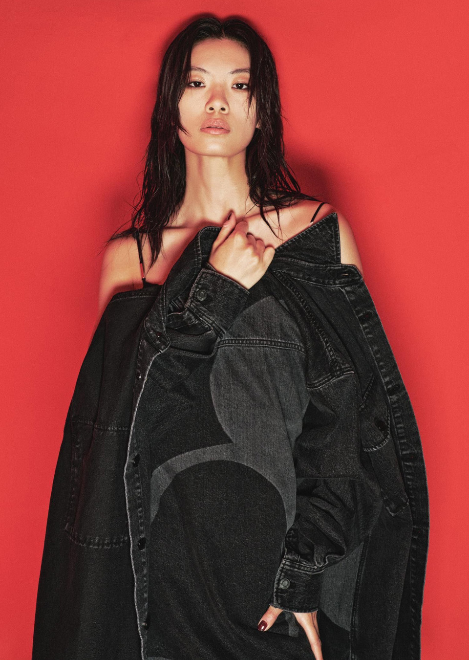 Model Image