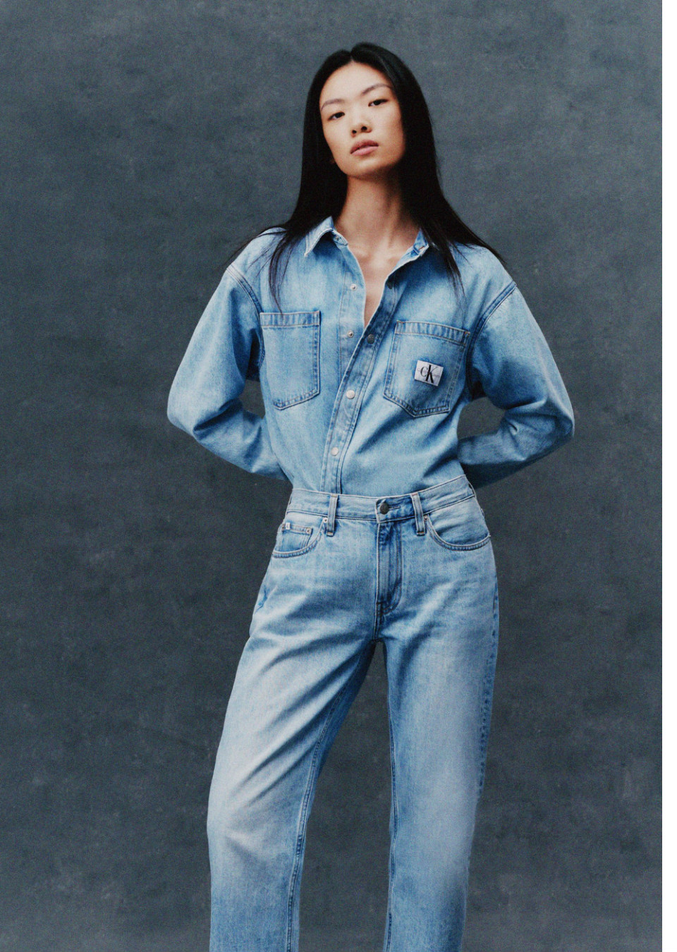 Model Image