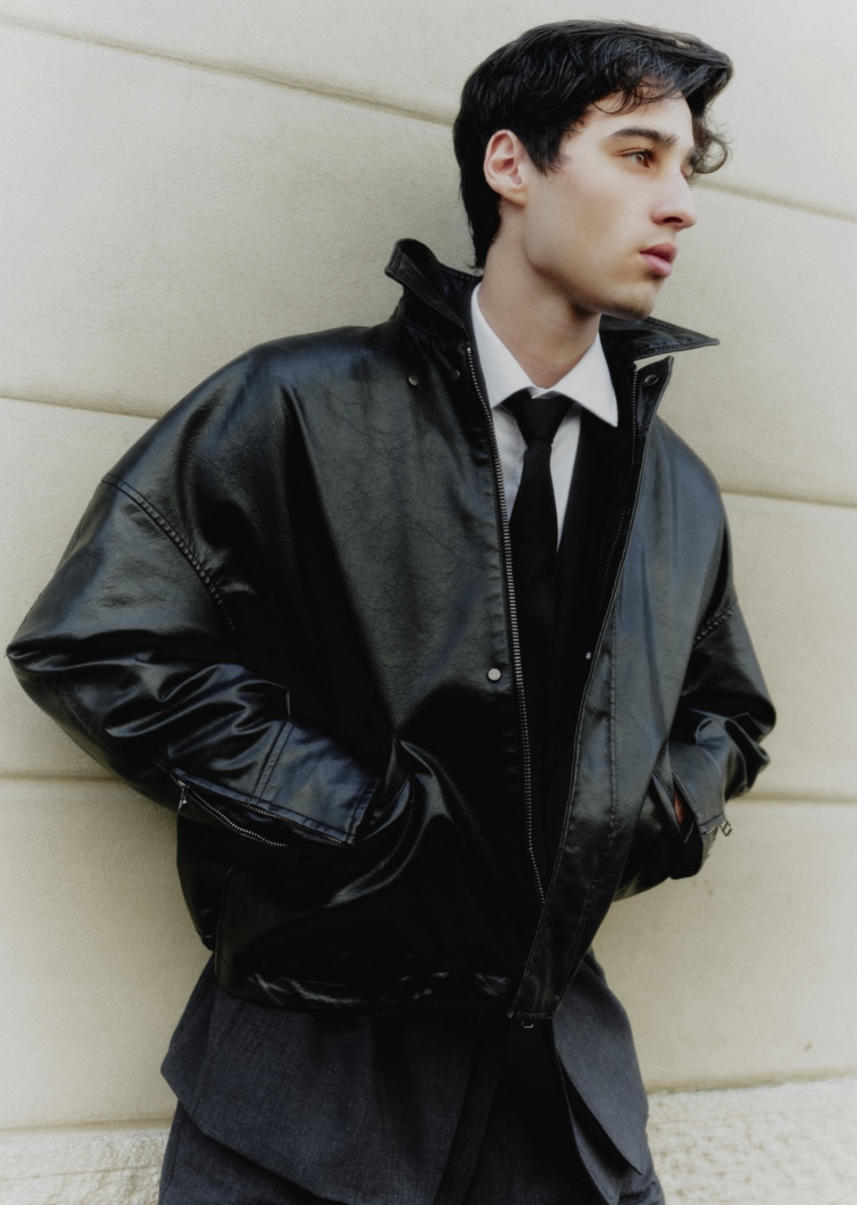 Model Image