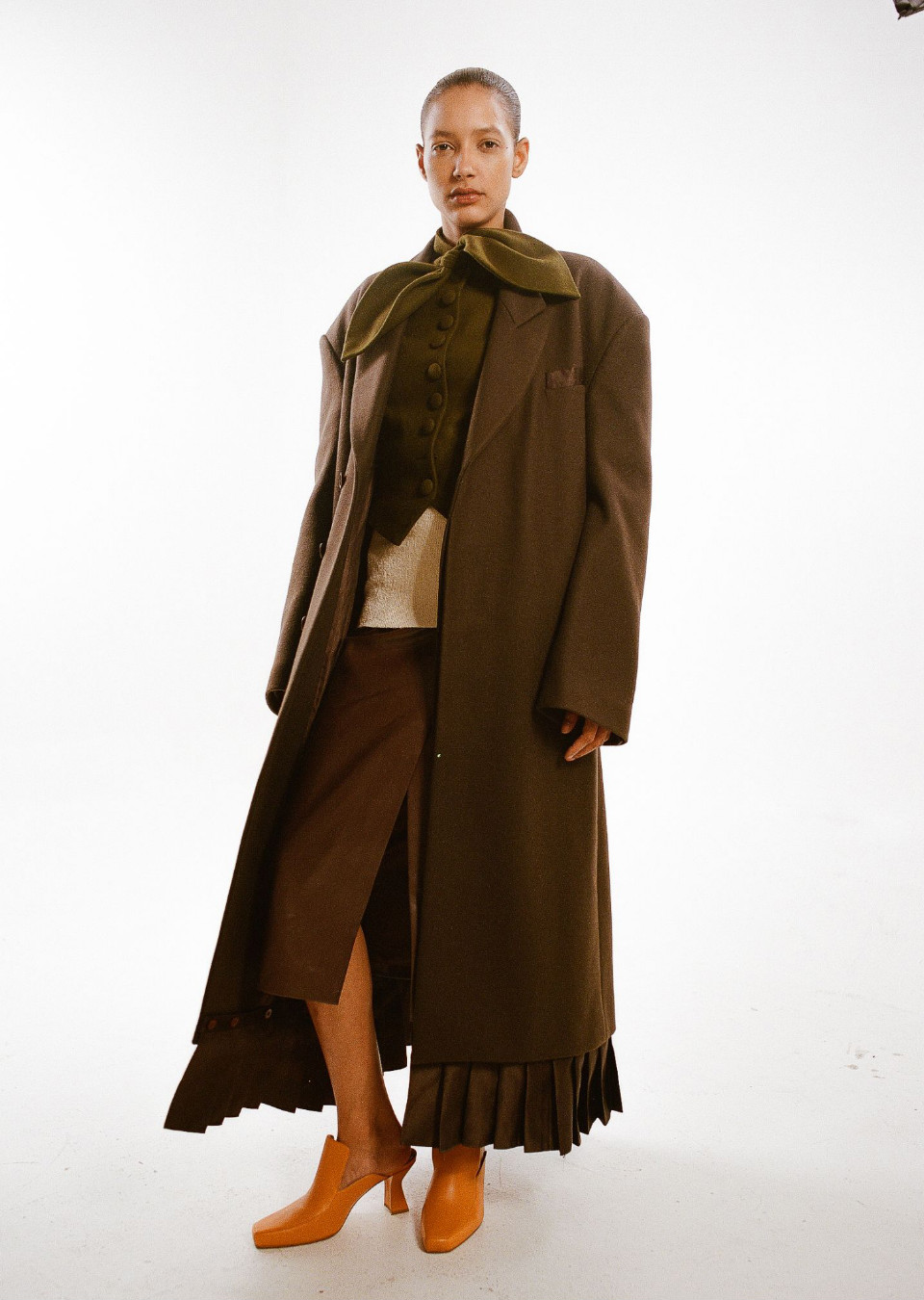 Model Image